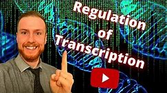 The REGULATION of TRANSCRIPTION and TRANSLATION AQA A-Level Biology