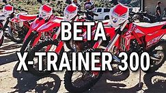 Beta Xtrainer 300 — Test Ride & First Impressions (2019)