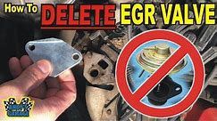 How To Delete EGR Valve (Andy’s Garage: Episode - 159)