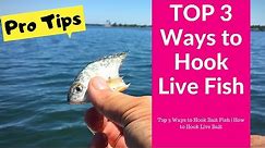 Top 3 Ways to Hook Bait Fish | How to Hook Live Bait