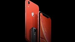 Download the iPhone XR wallpapers here [Gallery] - 9to5Mac