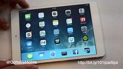 How to Mute the iPad Quickly