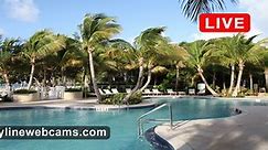 【LIVE】 Webcam Islamorada, Village of Islands - Florida | SkylineWebc