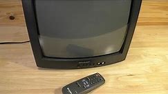 Sharp 13-inch Television (2000)