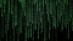 Binary Code Black Green Background Digits Stock Footage Video (100% Royalty-free) 1011797714 | Shutterstock