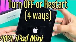 2021 iPad Mini: How to Power Down or Restart (4 ways)