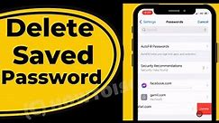 How to Delete Saved Passwords on iPhone, iPad - iOS 17 (2023)