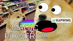 Dogga react on Doge memes