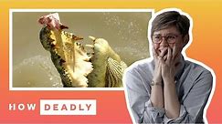 How deadly are saltwater crocodiles in Australia? | REACTION