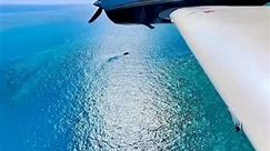 Fly with us over Fort Jefferson, Dry Tortugas National Park, Florida Keys! 🩵🐚🩵 Video @aquahollic #LoveFL #florida #floridakeys #visitflorida #nationalparks #vacationmode #island | Stay Salty Florida