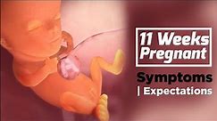 11 Weeks Pregnant | Pregnancy Week By Week Symptoms | The Voice Of Woman