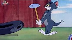 Tom end Jerry - maca dhe mini