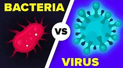 Virus vs Bacteria, What's Actually the Difference?