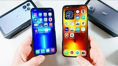 iPhone 13 Pro vs iPhone 13 Pro Max many months later