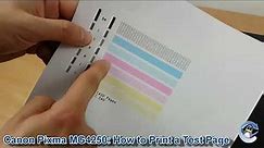 Canon Pixma MG4250: How to Print a Nozzle Check Test Page