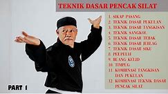 How to learn pencak silat | Basic Silat Techniques PART 1