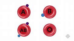 Making Universal Donor Blood From Other Blood Types | Headline Science