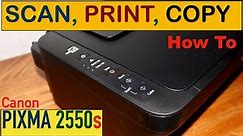 How To Scan, Print, Copy with Canon PIXMA MG2550s Printer ?