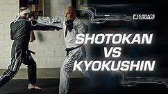 Karate Combat: GSP and Bas breakdown different Karate Styles