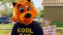 Cool Cat 1 - video Dailymotion