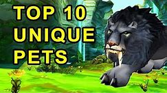 Top 10 Coolest Looking Pets in Classic WoW