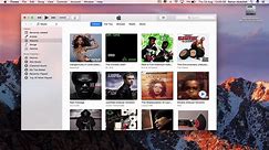 HOW TO USE ITUNES ON A MAC - BASIC TUTORIAL | NEW