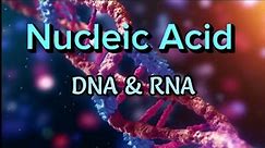 Nucleic acid | Nucleic Acid structure |Nucleic Acid biochemistry |#nucleicacid #dna #rna