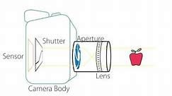 Camera Basics - Anatomy of a Camera