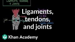Ligaments, tendons, and joints | Muscular-skeletal system physiology | NCLEX-RN | Khan Academy