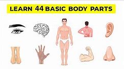 Explore the Human Body: Anatomy of Essential Body Parts | Educational Video