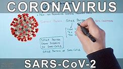 Coronavirus | SARS CoV-2