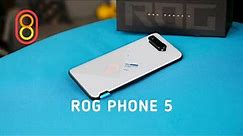 ASUS ROG Phone 5: ДВА экрана, 18 ГБ оперативки!