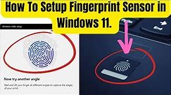 how to enable fingerprint in hp laptop windows 11 || how to setup fingerprint in laptop