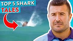 Top 5 Shark Encounters At Bondi Beach