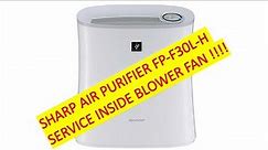 Sharp Air Purifier FP-F30L-H Service Inside Blower Fan