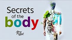 Secrets of the body || Acharya Prashant, on Vedanta (2020)