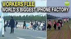 Zhengzhou Foxconn Factory: 10,000+ workers flee covid lockdown/Apple iPhone Production Plunges