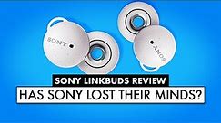 NEW SONY Earbuds Review! SONY vs APPLE EARBUDS! Sony Linkbuds Review