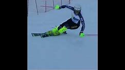 WORLD CUP SKI RACERS FREE SKIING 15 (the best of 1-14).