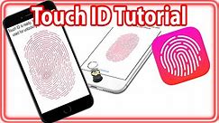 How To Setup Touch ID (Fingerprint Scanner) On iPhone