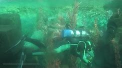 Finding Nemo Submarine Voyage On-ride (Complete HD Experience) Disneyland California