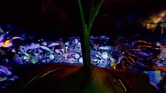 Journey to the Center of the Earth Dark Ride (DisneySea Theme Park - Chiba, Japan) - 4k Dark Ride PO