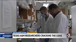 Texas A&M researchers are working on multiple new drugs to fight COVID-19