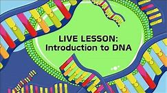 Get ahead of other Matrics | Lesson on DNA