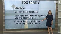 Foggy Fog | California Weather Explained