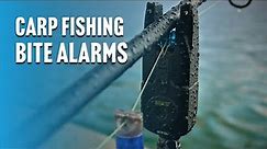 Carp Fishing BITE ALARM Beginners Guide