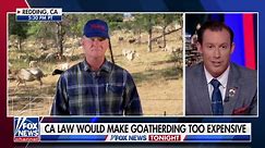 New CA law could put these goat herders out of a job
