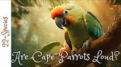 Do Cape Parrots Talk? | #parrot_bliss #parrot #bird