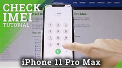 How to Locate IMEI in iPhone 11 Pro Max Check - Check Serial Number