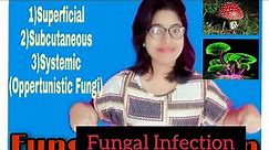Fungal Infection Classification Part 3Mycology